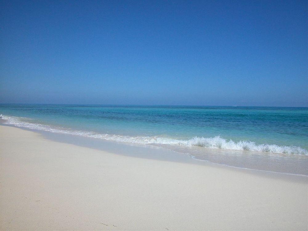 Green Turtle Club Resort & Marina Green Turtle Cay ภายนอก รูปภาพ