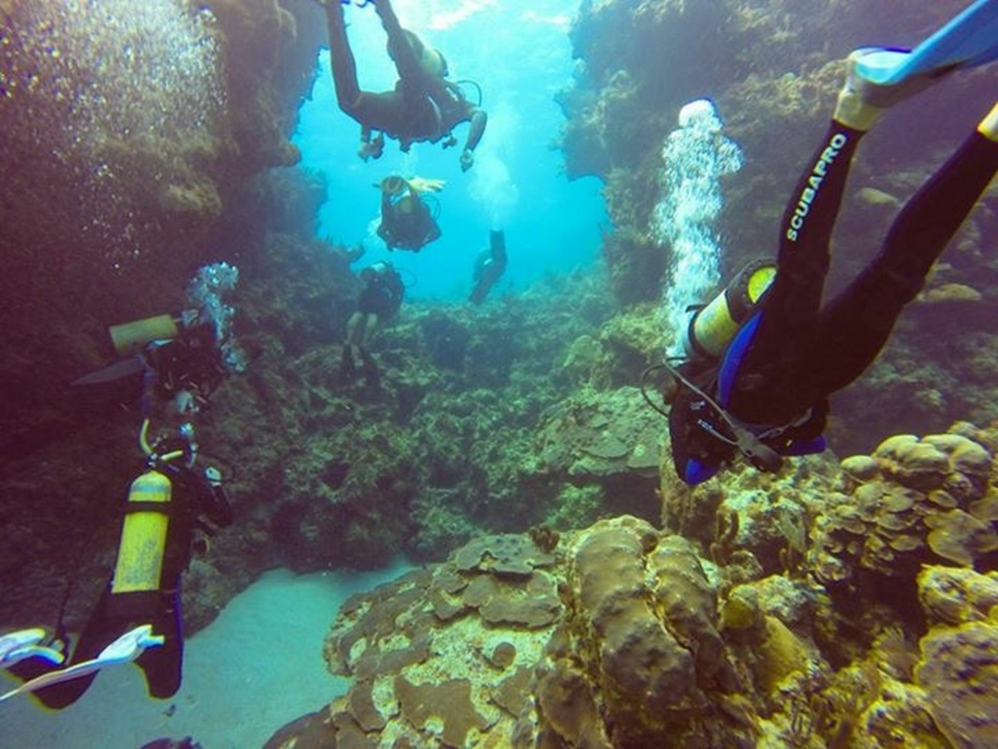 Green Turtle Club Resort & Marina Green Turtle Cay ภายนอก รูปภาพ